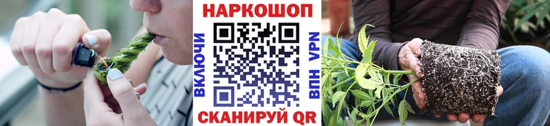Где купить Мураши Альфа ПВП Бошки Шишки Cocaine Мефедрон АМФ ГАШ